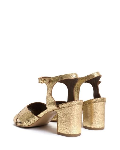 Stridevibe.shop229a197247 4