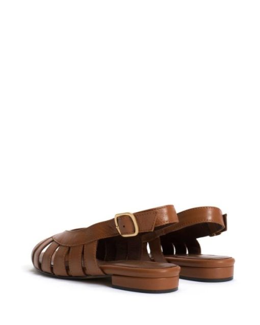 Stridevibe.shop30d4e45ea3 4