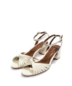 Stridevibe.shop38a7c7b938 2
