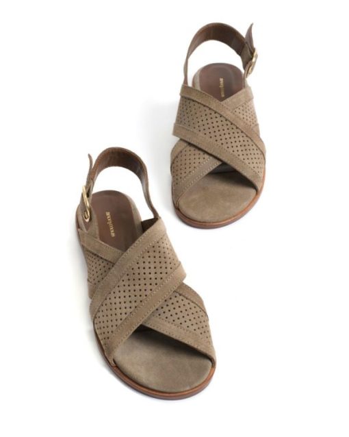 Stridevibe.shop3f033cee31 5
