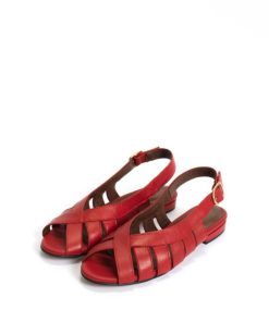 Stridevibe.shop485b683d37 2