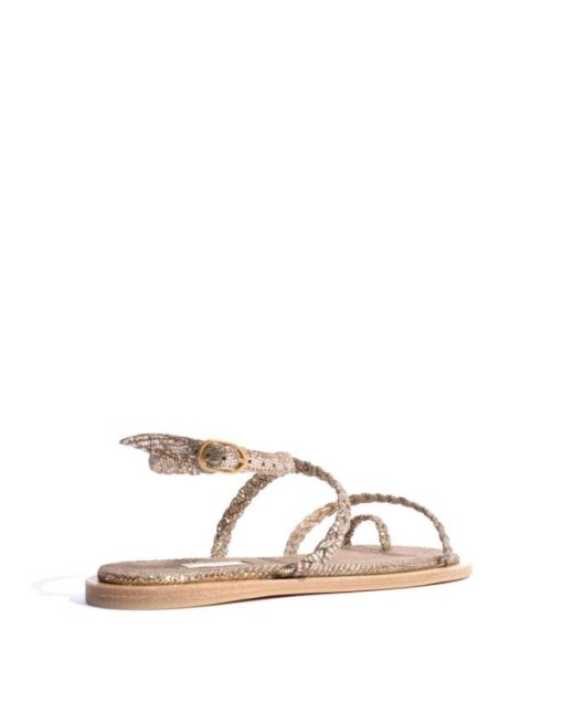 Stridevibe.shop5475f09e81 3