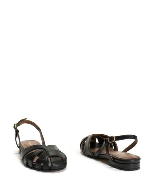 Stridevibe.shop806d72ec45 6
