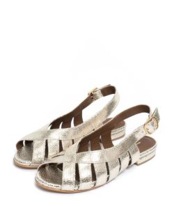 Stridevibe.shop95f00e8f06 2