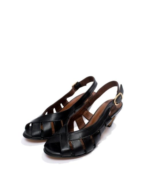 Stridevibe.shopd09f76865b 2