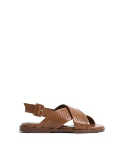 Stridevibe.shopd7320edcc8 1