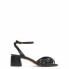 Stridevibe.shopd8469e698c 1