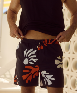 Stridevibe.shop3a3f3479c0 4