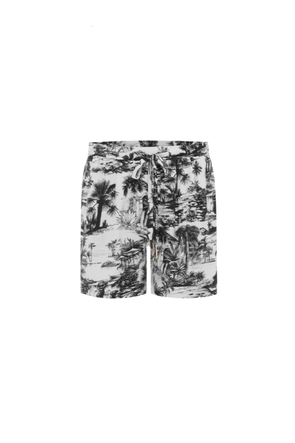 Stridevibe.shop60775cdb38 5