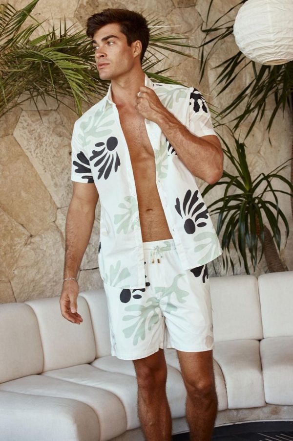 Stridevibe.shope350a18228 1