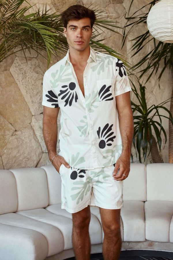 Stridevibe.shope350a18228 3